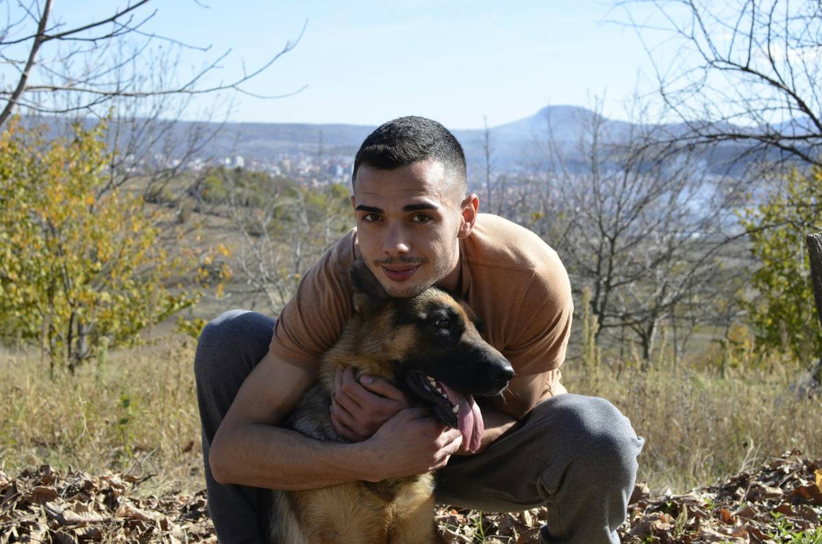 Chart showing safe sodium levels for healthy vs. heart-diseased dogs and cats