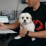 Sodium for Hydration: Why Your Pet Might Need It (And When to Skip the Salt Shaker)