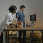 Veterinary Guidance on Sodium Supplements for Pets: What Every Pet Owner Must Know